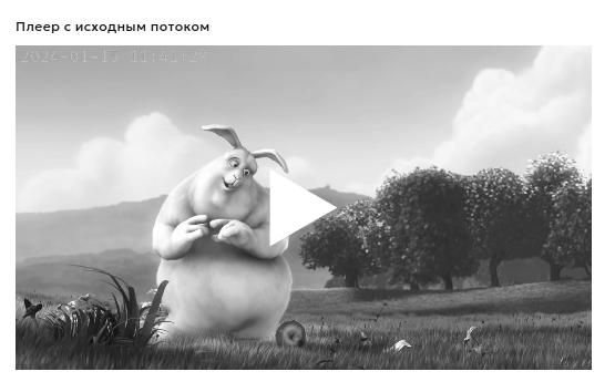 Плеер с исходным потоком